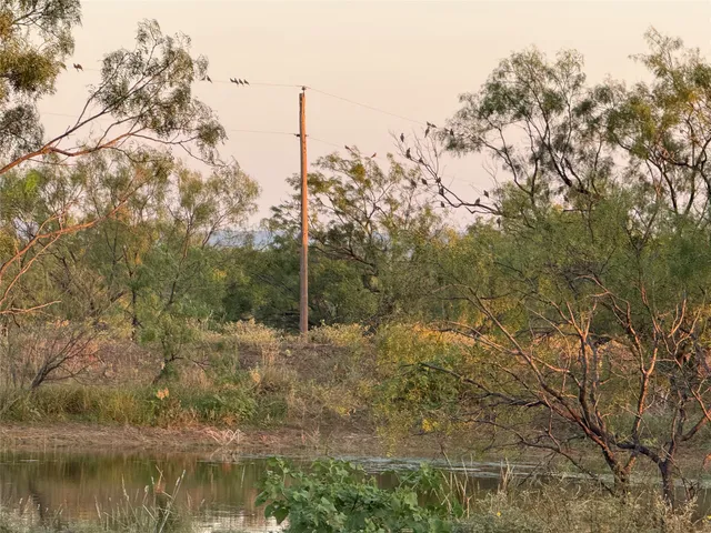 a view of an ocean from a yard