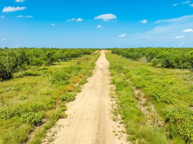 an aerial view of residential house with outdoor space