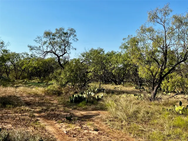 a view of city and ocean