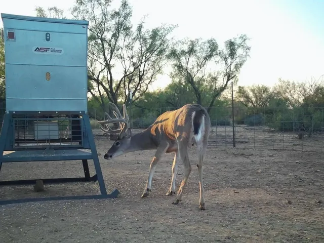 a view of lake with mountain