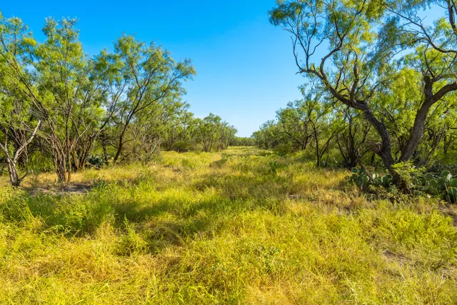 a view of a lake with a mountain