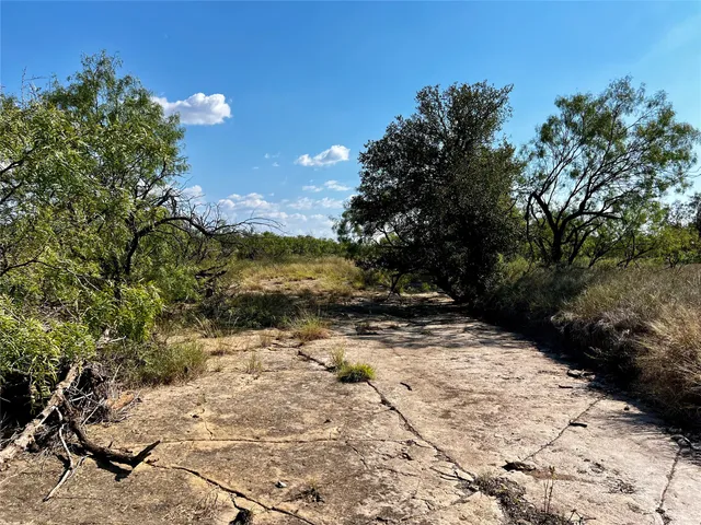 a view of city and ocean