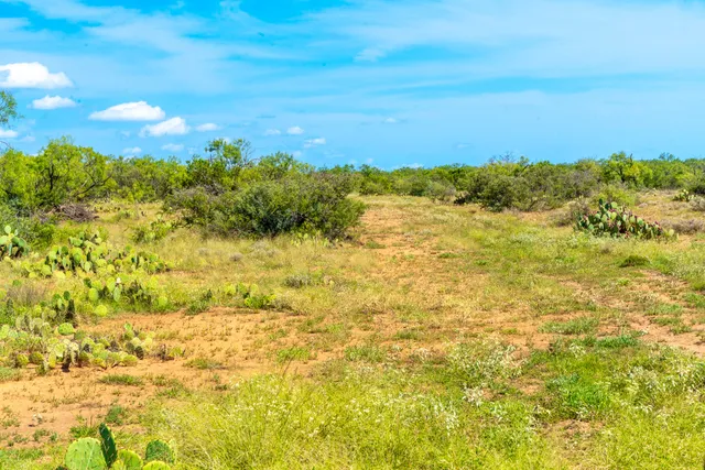a view of a large body of water with a tree in the background