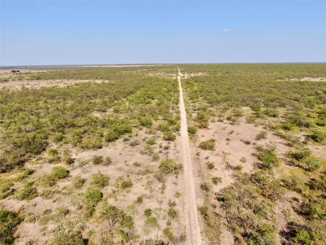 a view of a yard with an trees