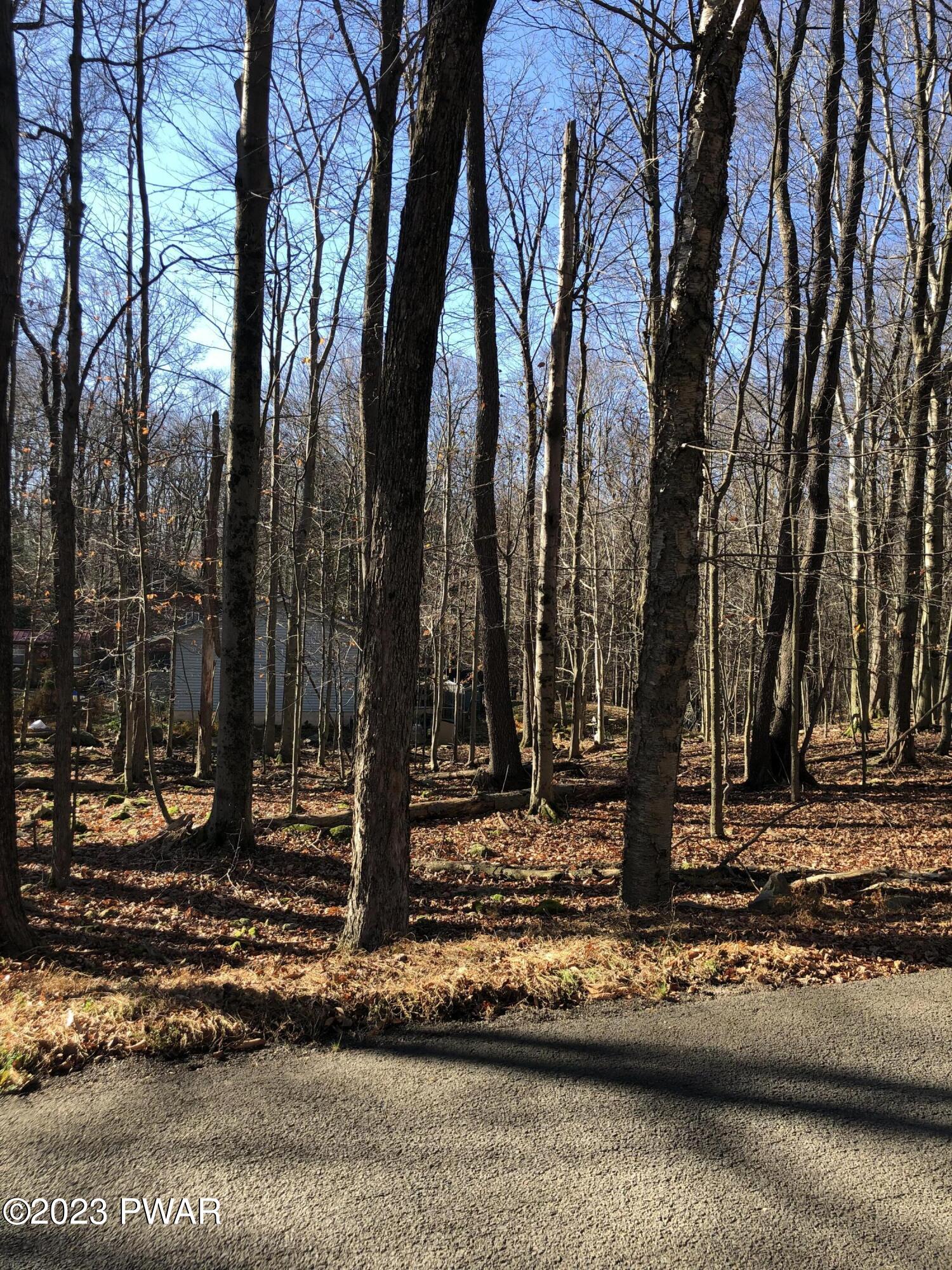 Lot 1 Beaver Run Road Newfoundland, PA 18445 - Photo 2 of 4