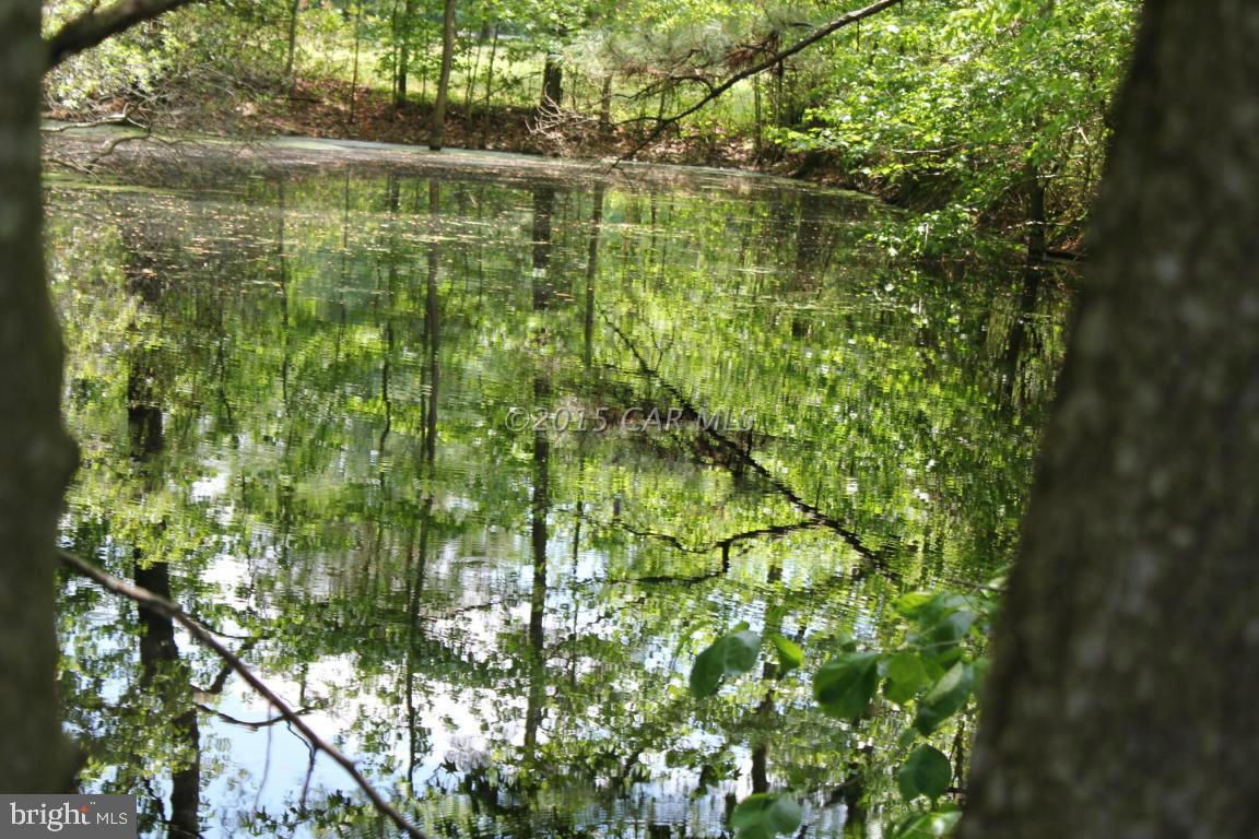 8579 Riggin Road Mardela Springs, MD 21837 - Photo 13 of 45 a view of a lake with a tree
