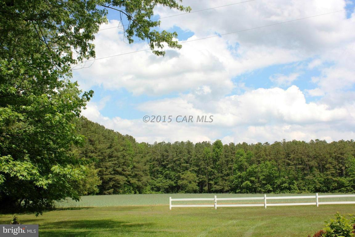 8579 Riggin Road Mardela Springs, MD 21837 - Photo 14 of 45 a view of a golf course with a lake