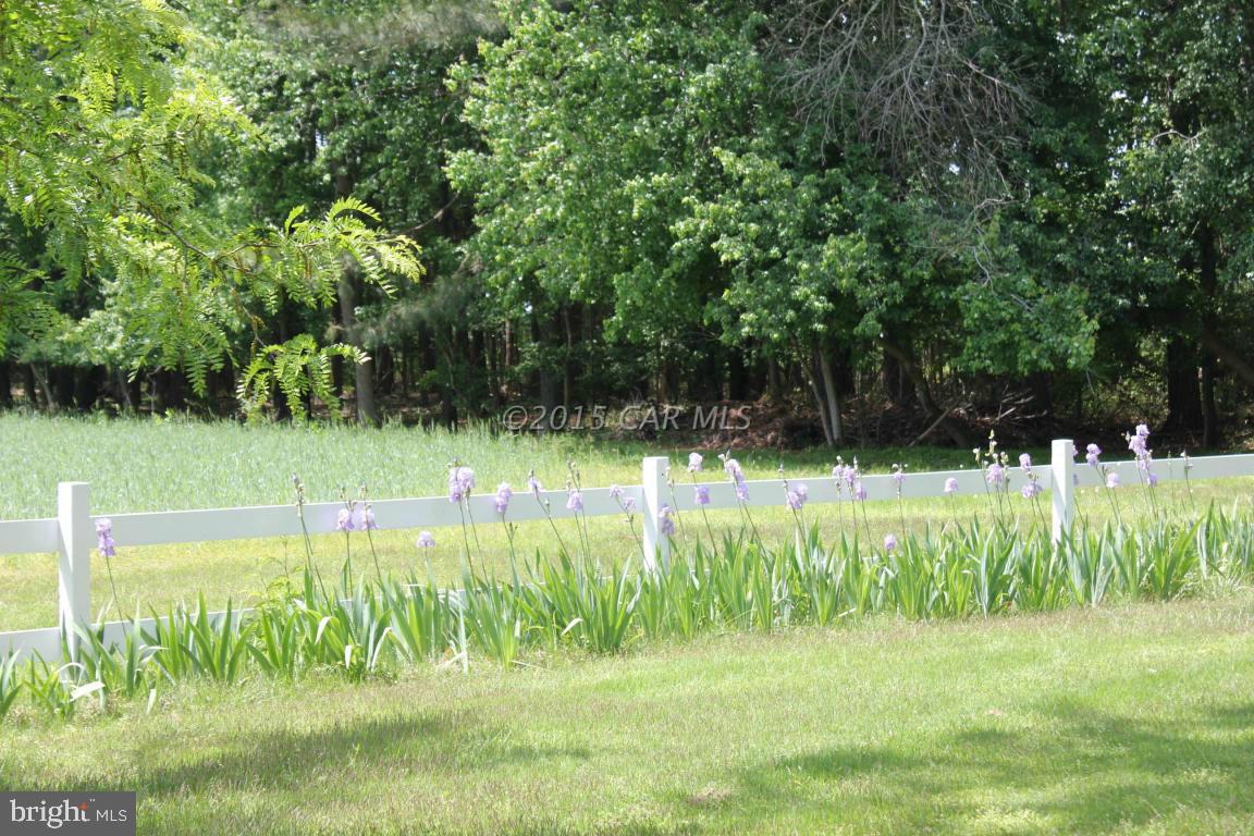 8579 Riggin Road Mardela Springs, MD 21837 - Photo 16 of 45 a view of a garden