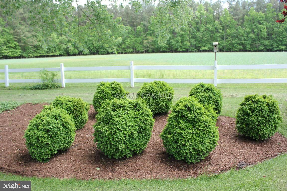 8579 Riggin Road Mardela Springs, MD 21837 - Photo 20 of 45 a view of a back yard