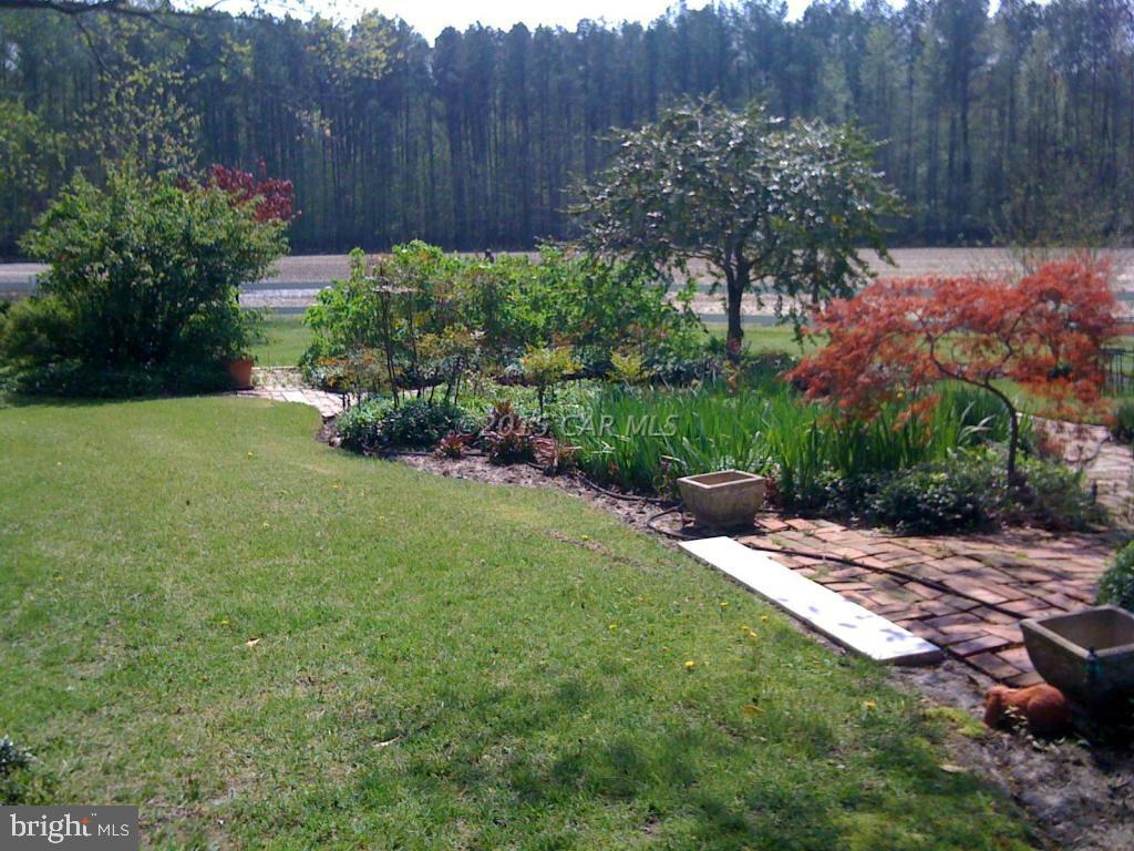 8579 Riggin Road Mardela Springs, MD 21837 - Photo 5 of 45 a view of a backyard with a garden