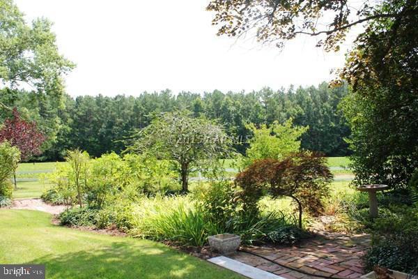 8579 Riggin Road Mardela Springs, MD 21837 - Photo 7 of 45 a view of a yard with plants and large trees