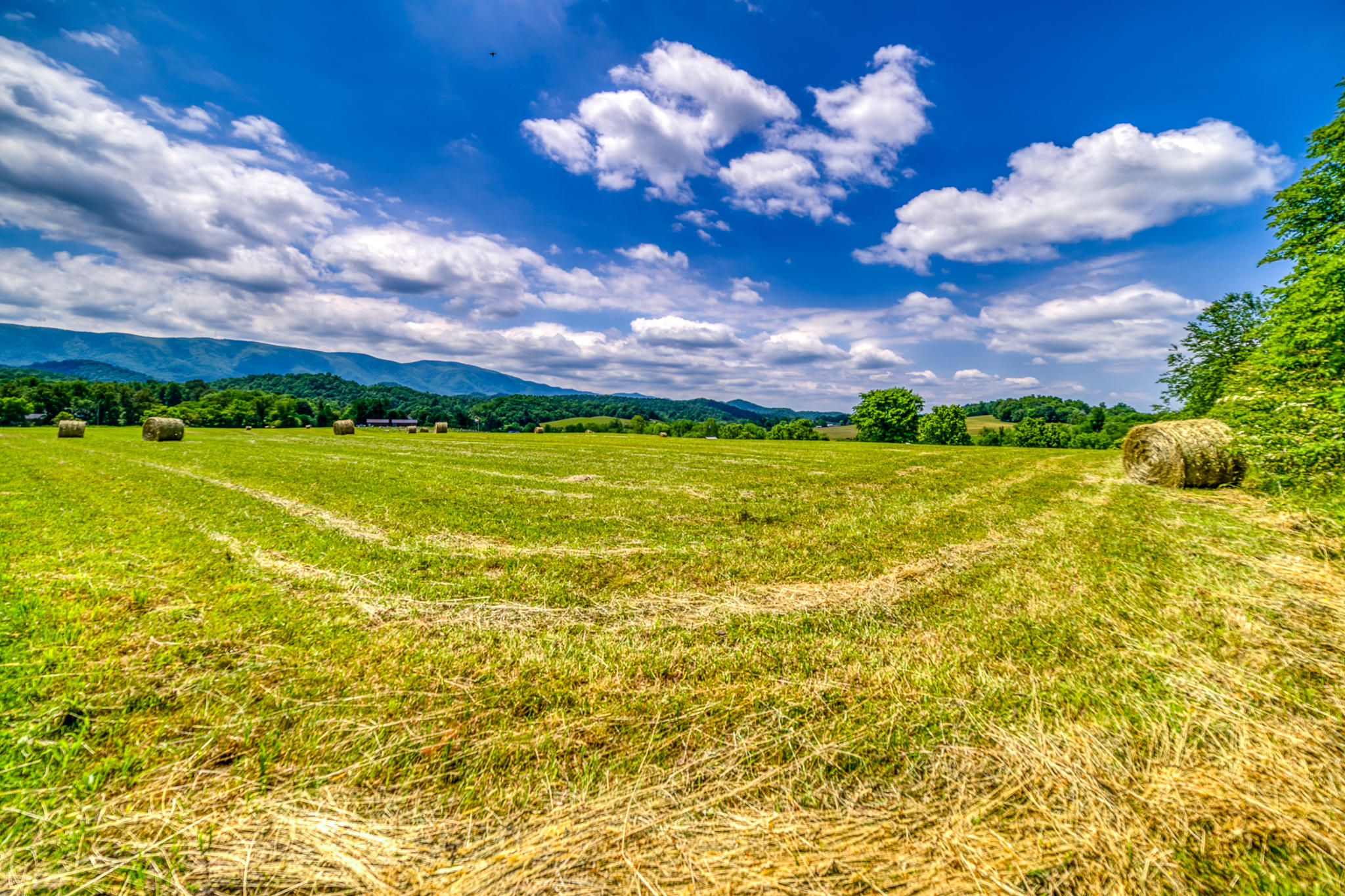 1617 Hickory Tree Road Bristol, TN 37620 - Photo 50 of 62 1617HickoryTreeRoadBristolTN-05914