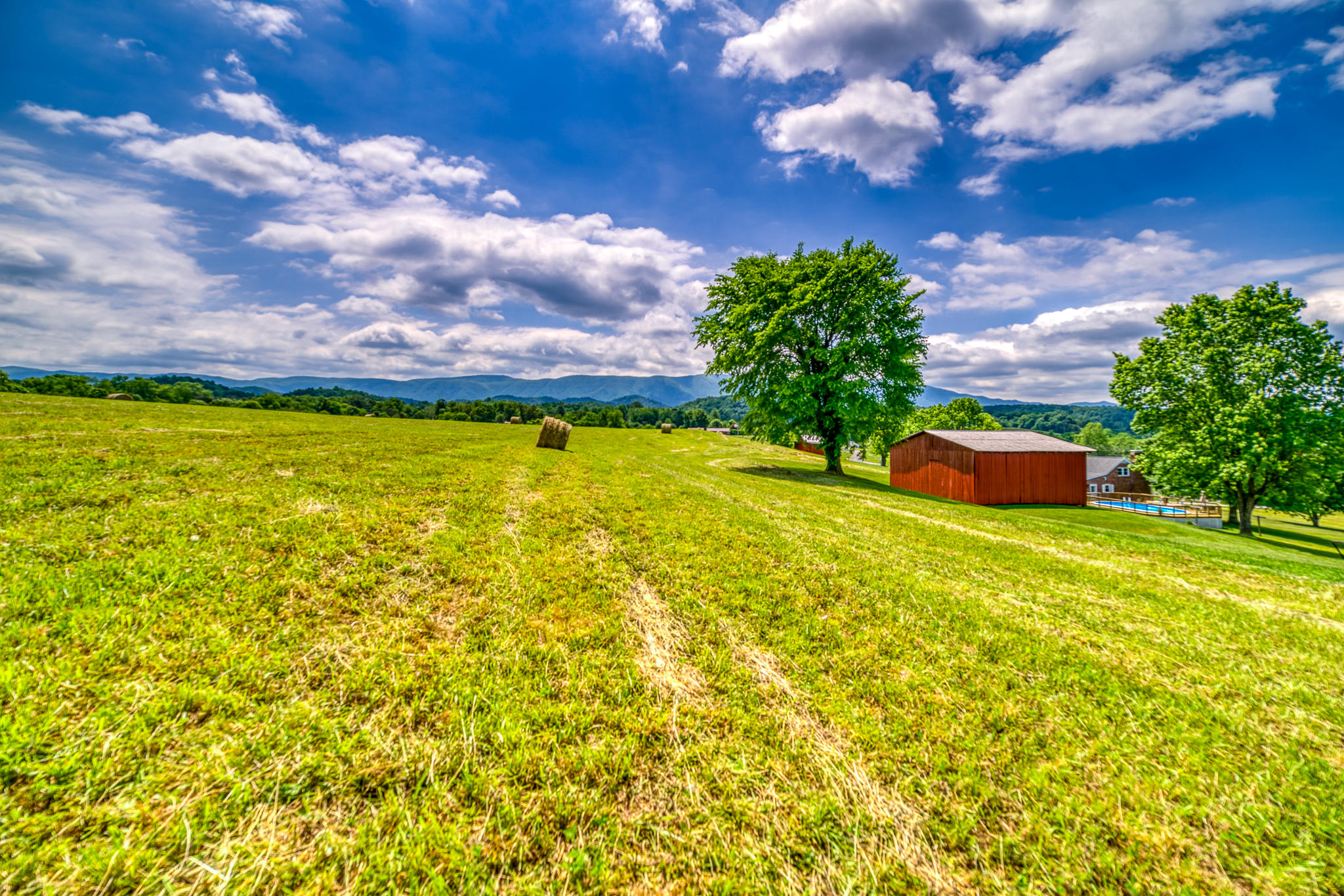 1617 Hickory Tree Road Bristol, TN 37620 - Photo 54 of 62 1617HickoryTreeRoadBristolTN-05918