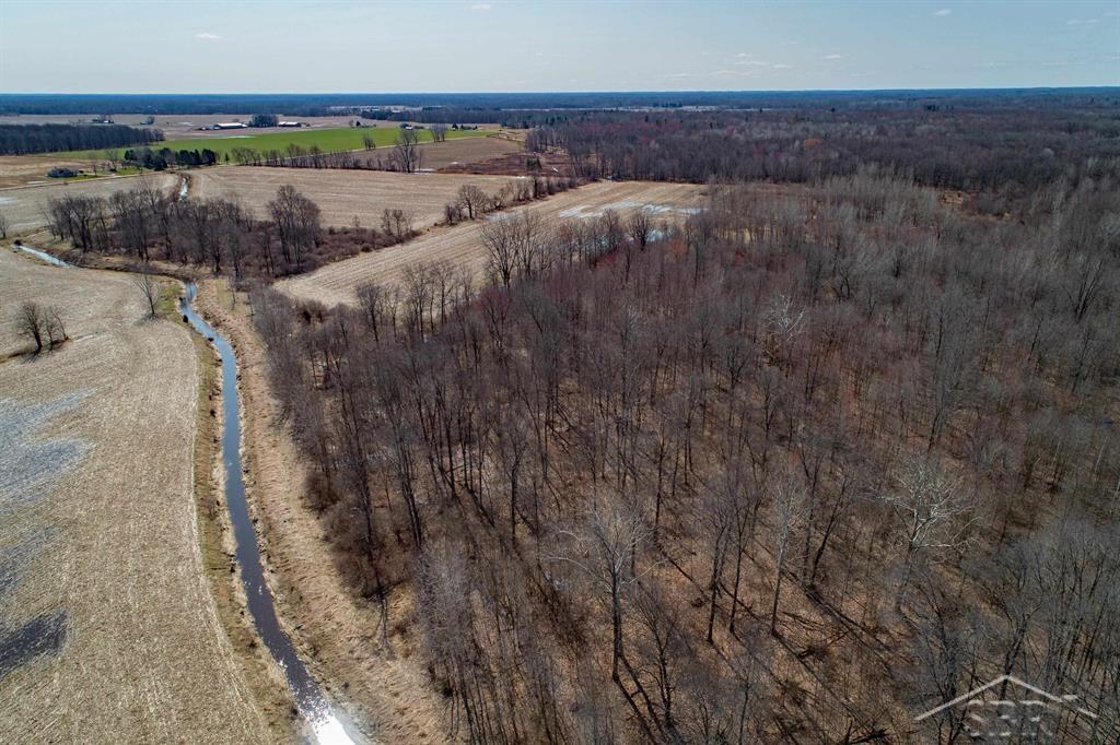 78.23-acres Grabowski Road St. Charles, MI 48655 - Photo 11 of 15 Gallery Image 11
