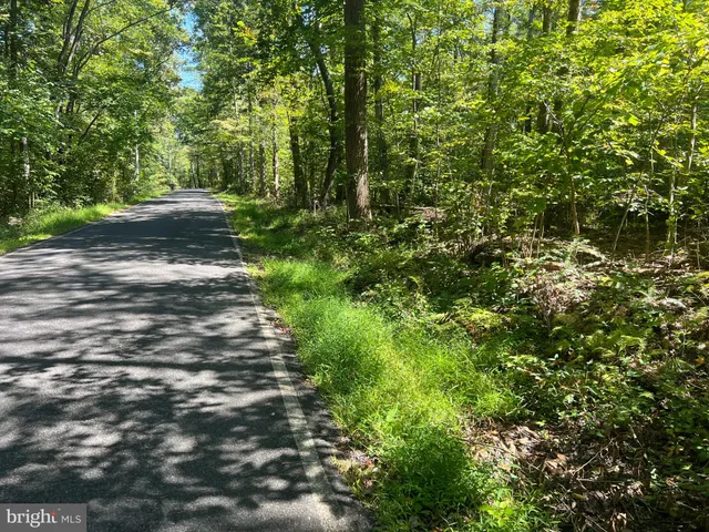 a view of outdoor space and trees