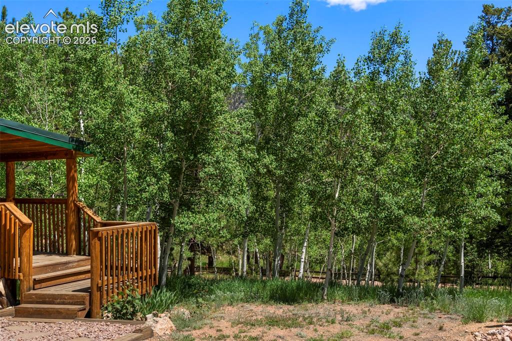 546 Pulver Road Lake George, CO 80827 - Photo 4 of 45 a view of a wooden fence with a bench