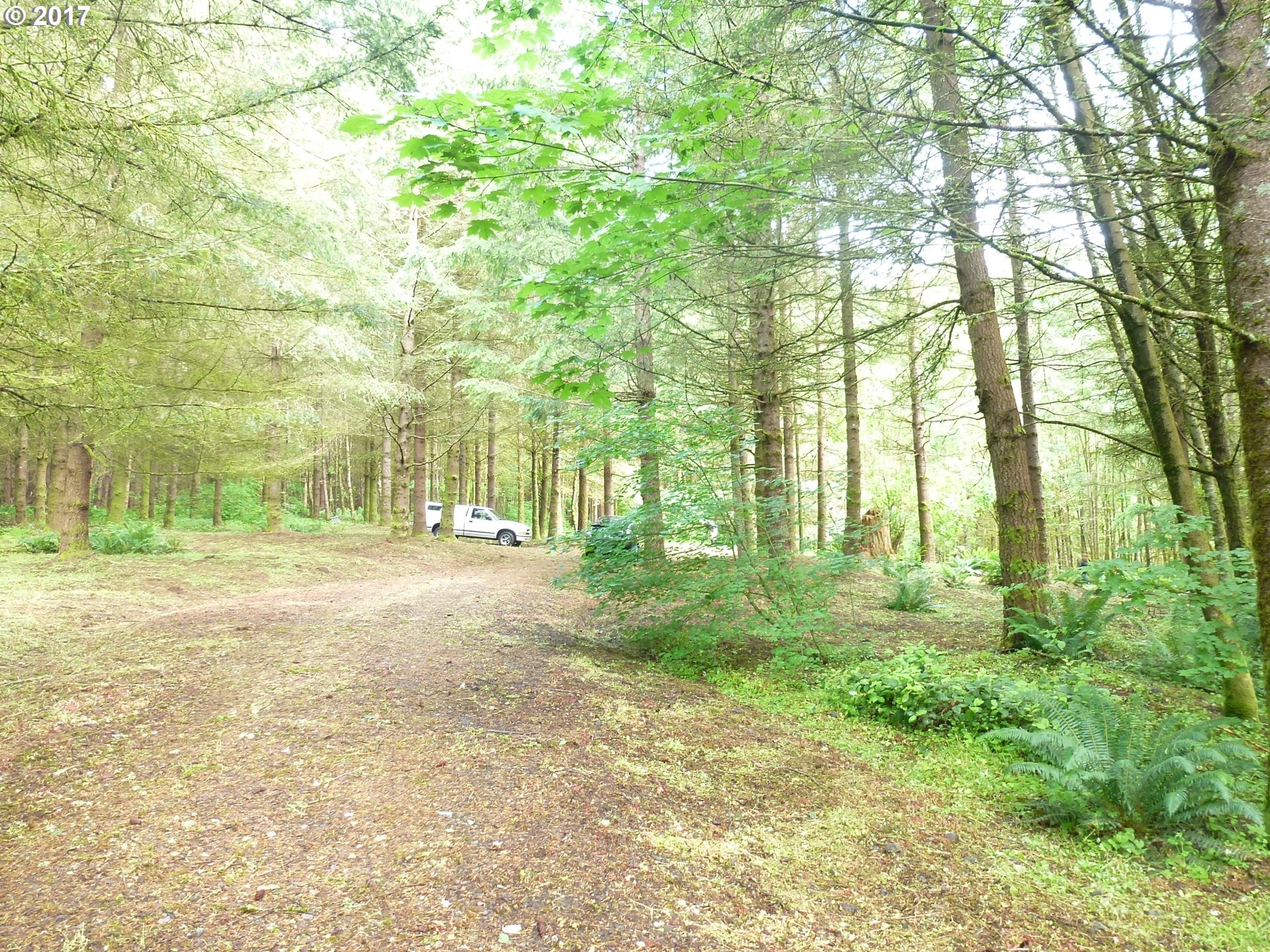 Northwest Johnson Road North Plains, OR 97133 - Photo 2 of 12 a view of yard with green space