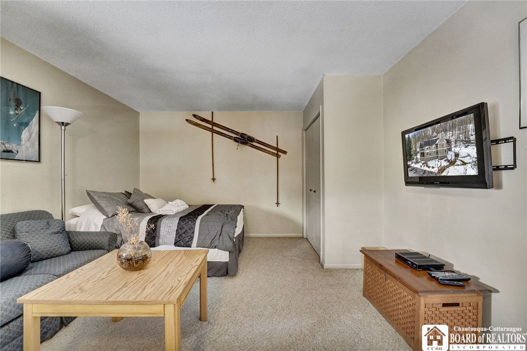 4433 Old Road Clymer, NY 14724 - Photo 31 of 44