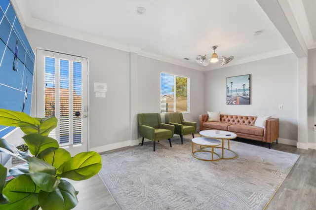 a living room with furniture and a potted plant