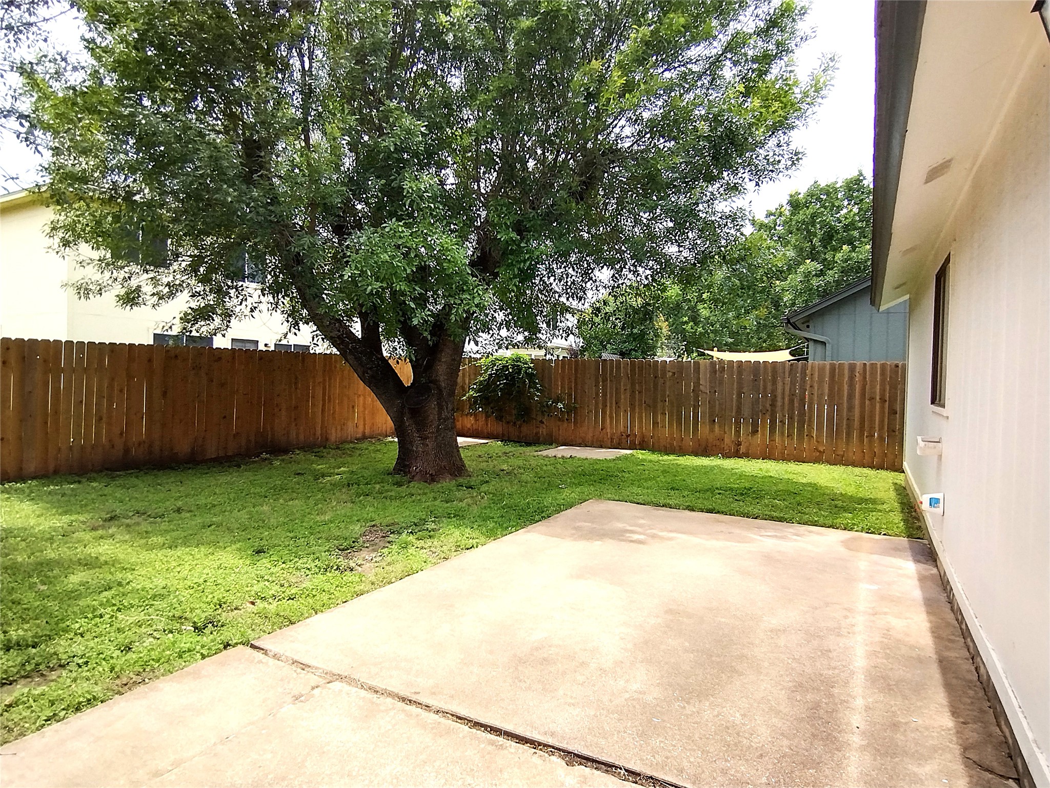 1813 Laurel Path Round Rock, TX 78664 - Photo 30 of 35 A spacious, fenced backyard with mature trees provides a private retreat.