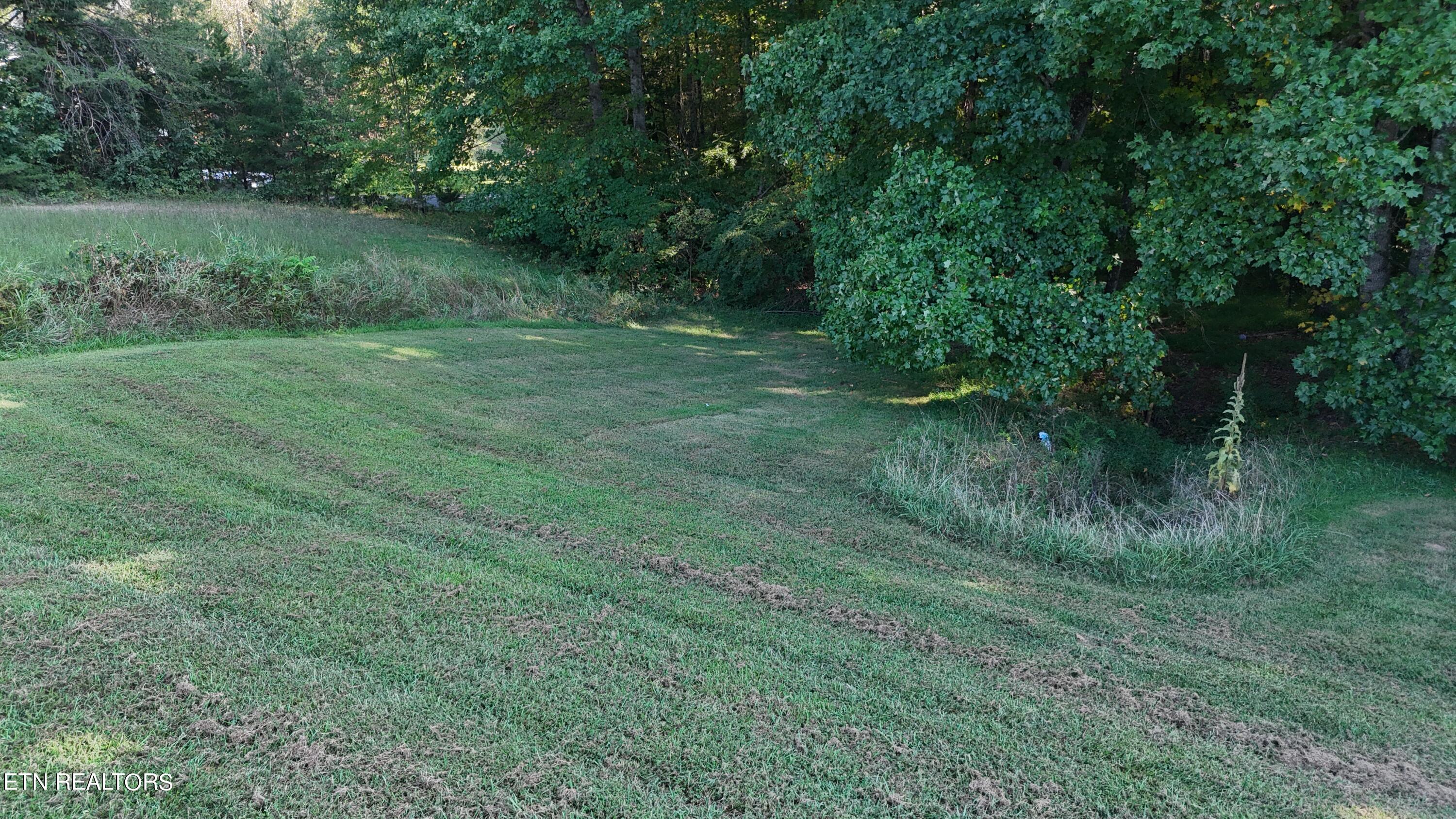 7418 Ridge Haven Court Corryton, TN 37721 - Photo 3 of 6 2024-08-27 17.39.41-1