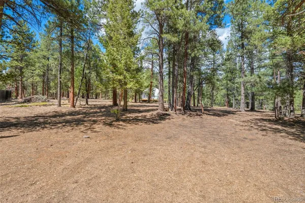 $835,000 | 237 Rd B, Pine, CO 80470