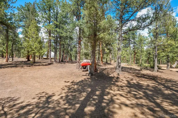 $835,000 | 237 Rd B, Pine, CO 80470