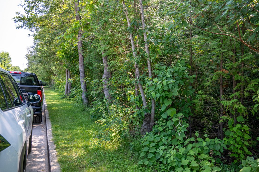 Lot 5 Mill Road Sister Bay, WI 54234 - Photo 7 of 20 Gallery Image 7