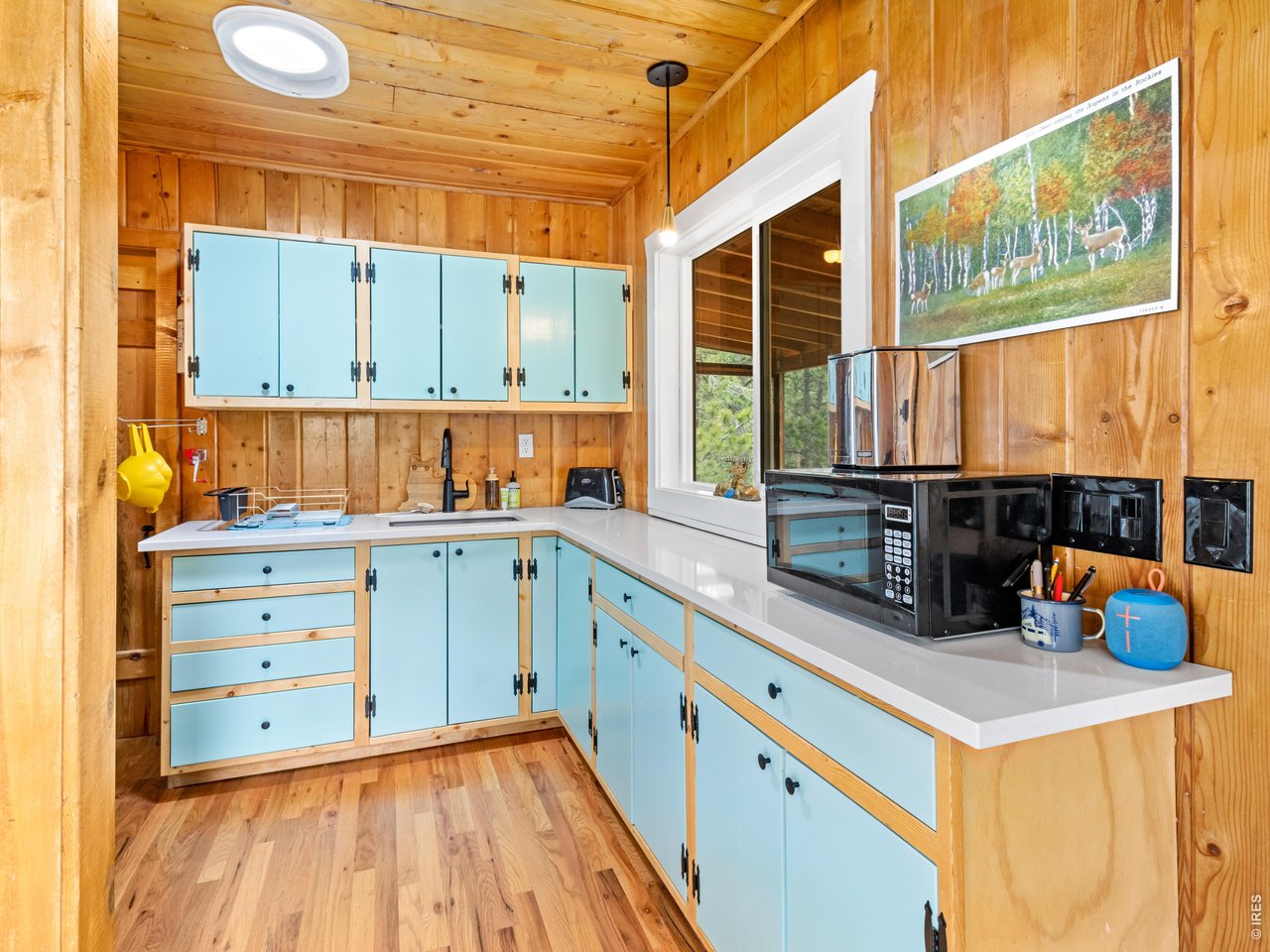 270 Ski Road East Allenspark, CO 80510 - Photo 12 of 30