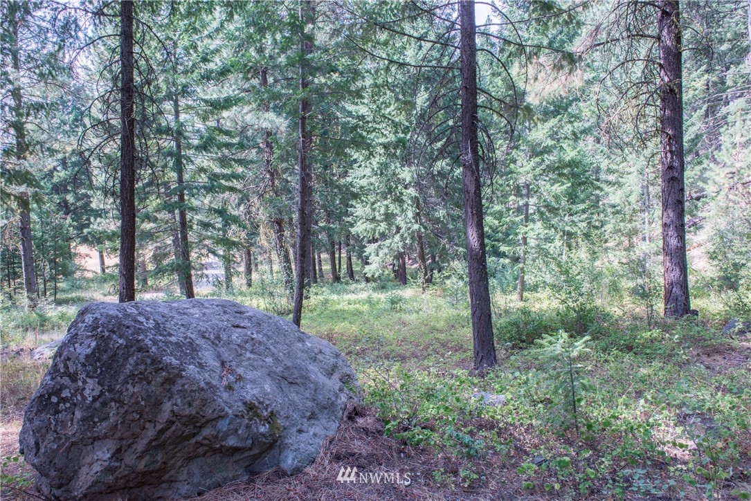 84 Chechaquo Ranch Road Mazama, WA 98833 - Photo 1 of 17 Gallery Image 1