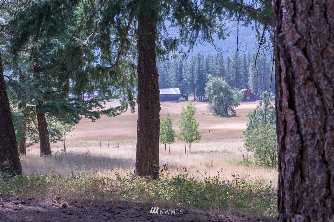 84 Chechaquo Ranch Road Mazama, WA 98833 - Photo 2 of 17 Gallery Image 2
