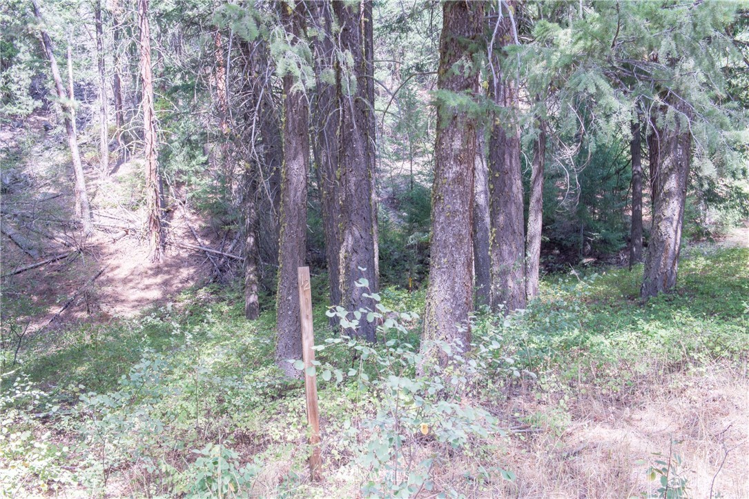 84 Chechaquo Ranch Road Mazama, WA 98833 - Photo 12 of 17 Gallery Image 12