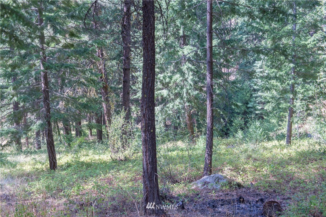 84 Chechaquo Ranch Road Mazama, WA 98833 - Photo 14 of 17 Gallery Image 14