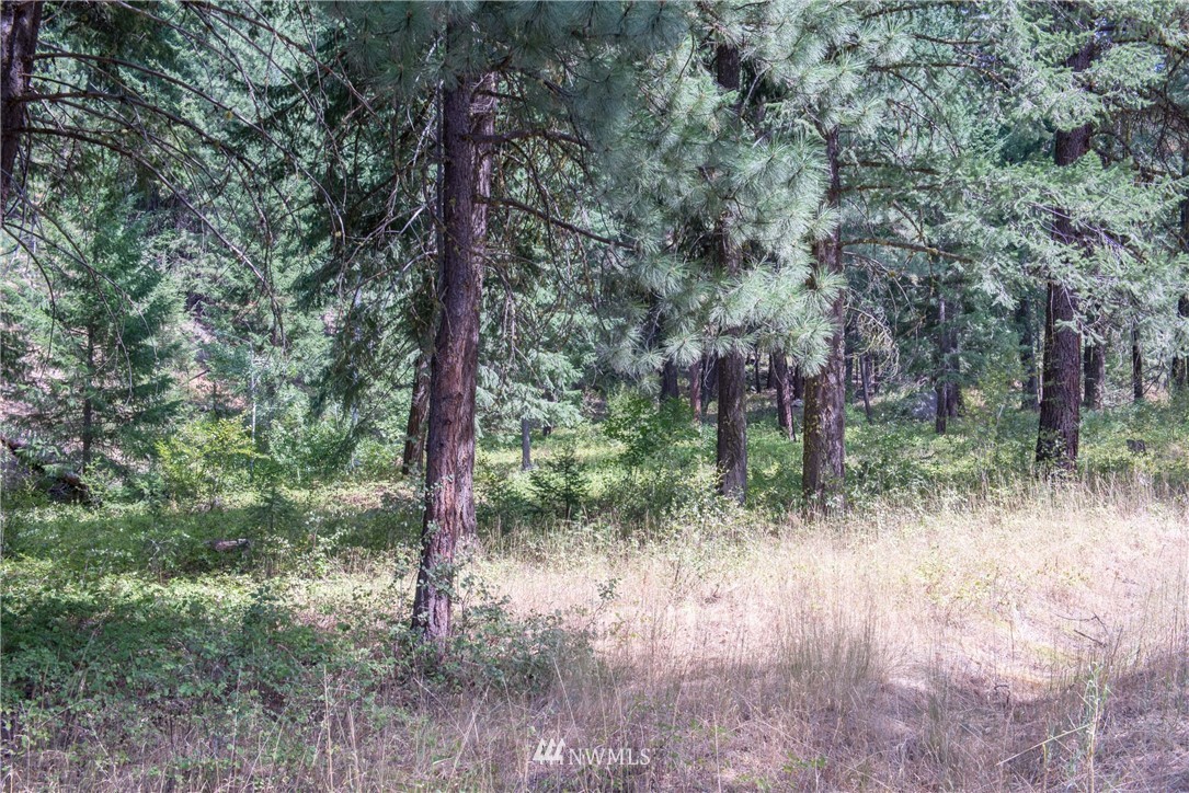 84 Chechaquo Ranch Road Mazama, WA 98833 - Photo 15 of 17 Gallery Image 15