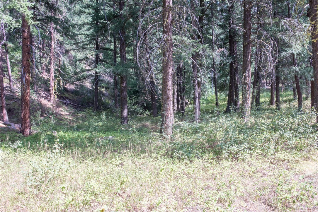 84 Chechaquo Ranch Road Mazama, WA 98833 - Photo 16 of 17 Gallery Image 16