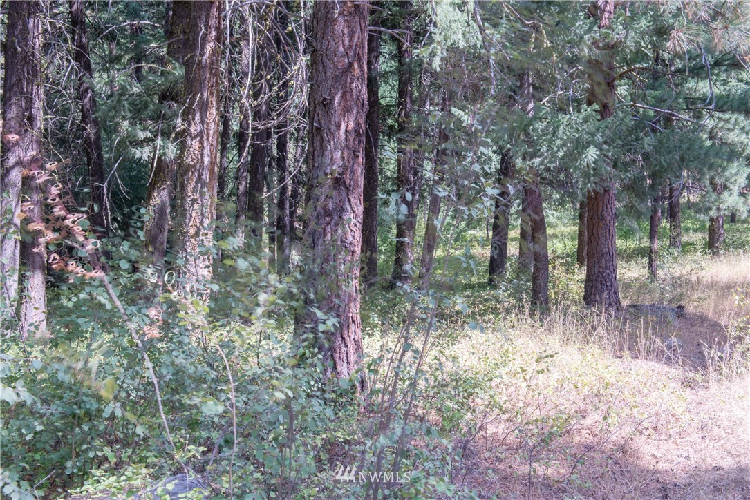 84 Chechaquo Ranch Road Mazama, WA 98833 - Photo 17 of 17 Gallery Image 17