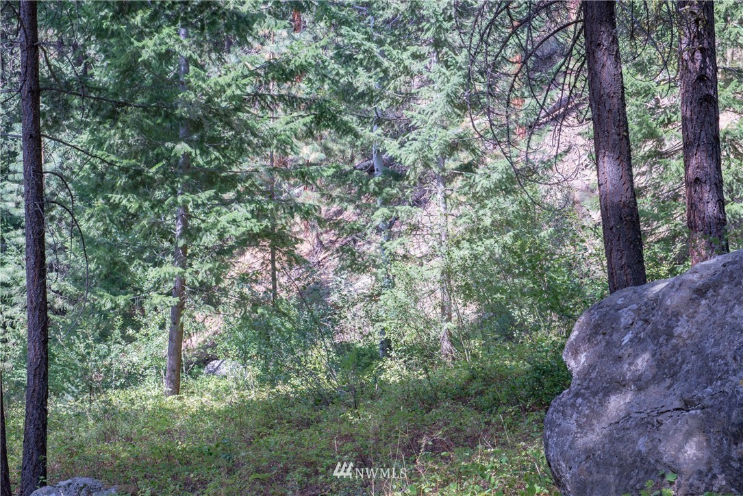 84 Chechaquo Ranch Road Mazama, WA 98833 - Photo 3 of 17 Gallery Image 3