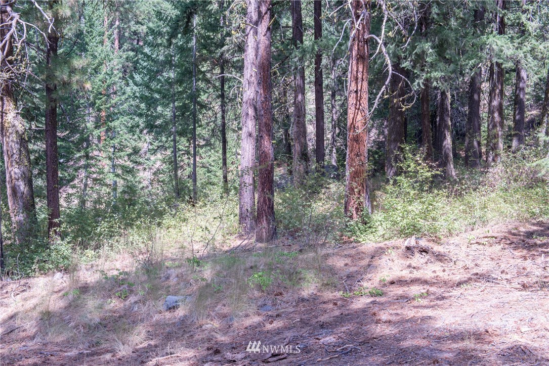 84 Chechaquo Ranch Road Mazama, WA 98833 - Photo 4 of 17 Gallery Image 4