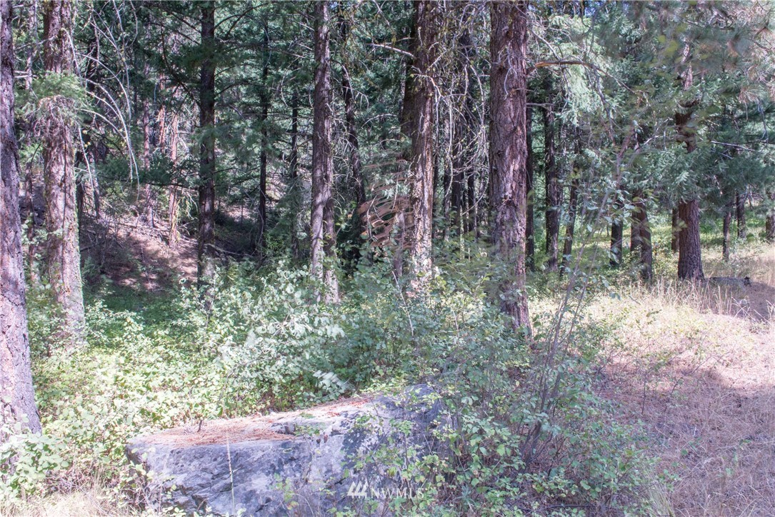 84 Chechaquo Ranch Road Mazama, WA 98833 - Photo 7 of 17 Gallery Image 7