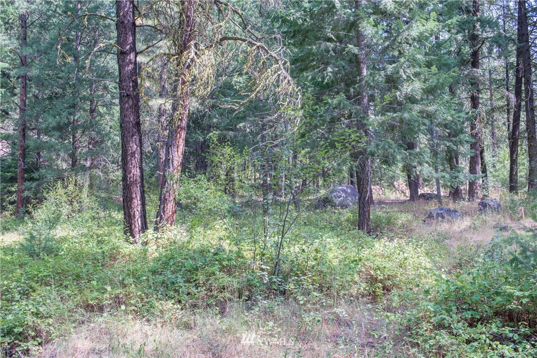 84 Chechaquo Ranch Road Mazama, WA 98833 - Photo 8 of 17 Gallery Image 8