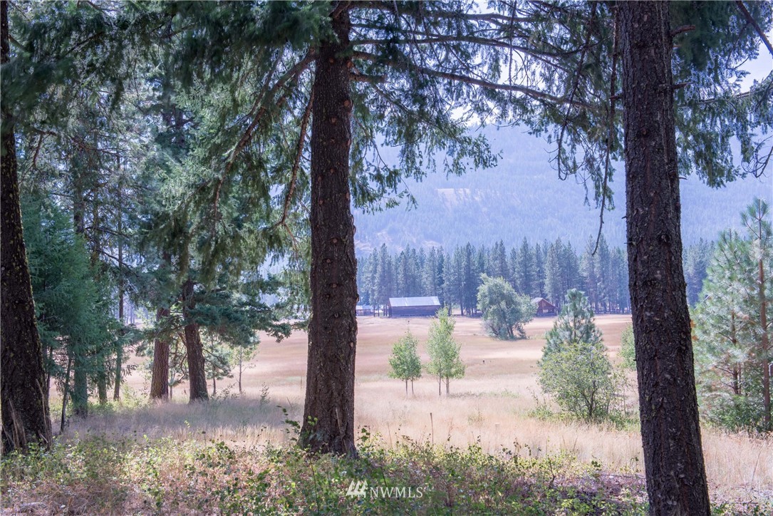 84 Chechaquo Ranch Road Mazama, WA 98833 - Photo 9 of 17 Gallery Image 9