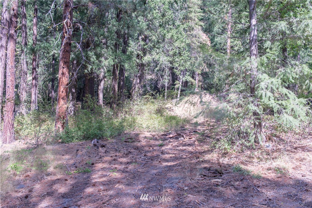 84 Chechaquo Ranch Road Mazama, WA 98833 - Photo 10 of 17 Gallery Image 10
