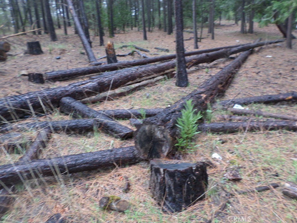 0 Mendocino Way Chico, CA 95973 - Photo 5 of 22 Most of the property has been cleared of thick brush etc