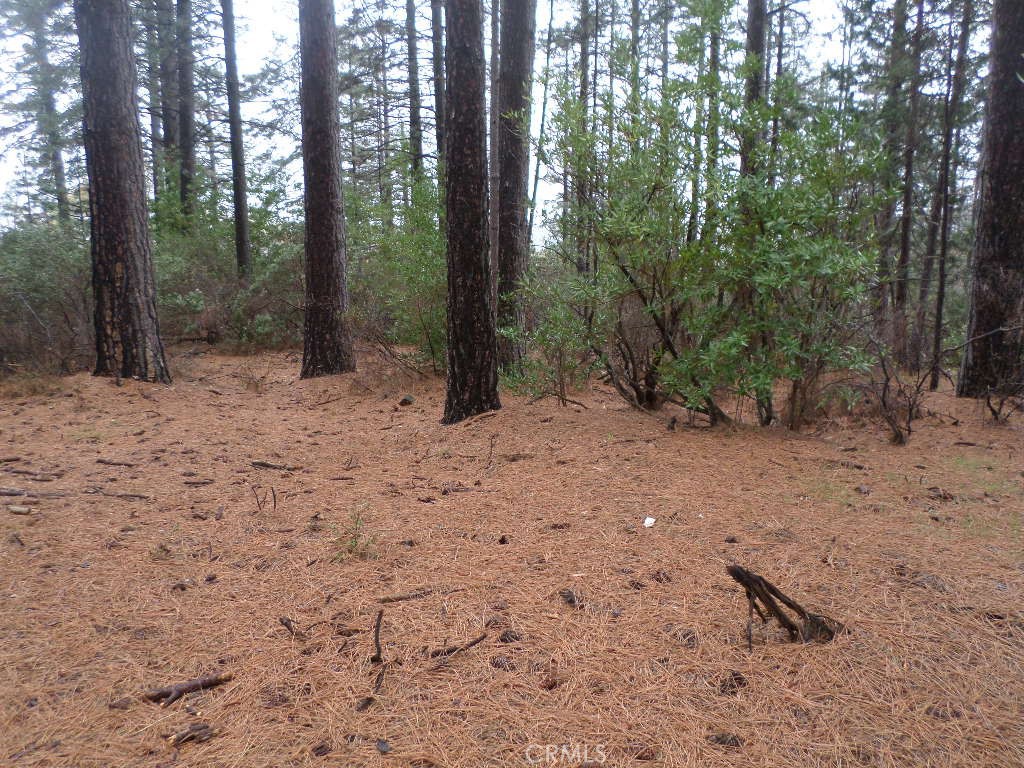 0 Mendocino Way Chico, CA 95973 - Photo 7 of 22