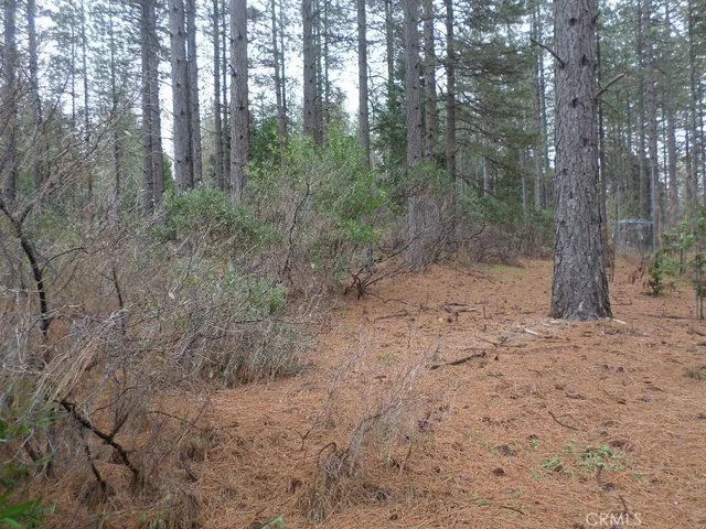 $89,000 | 0 Mendocino Way, Chico, CA 95973