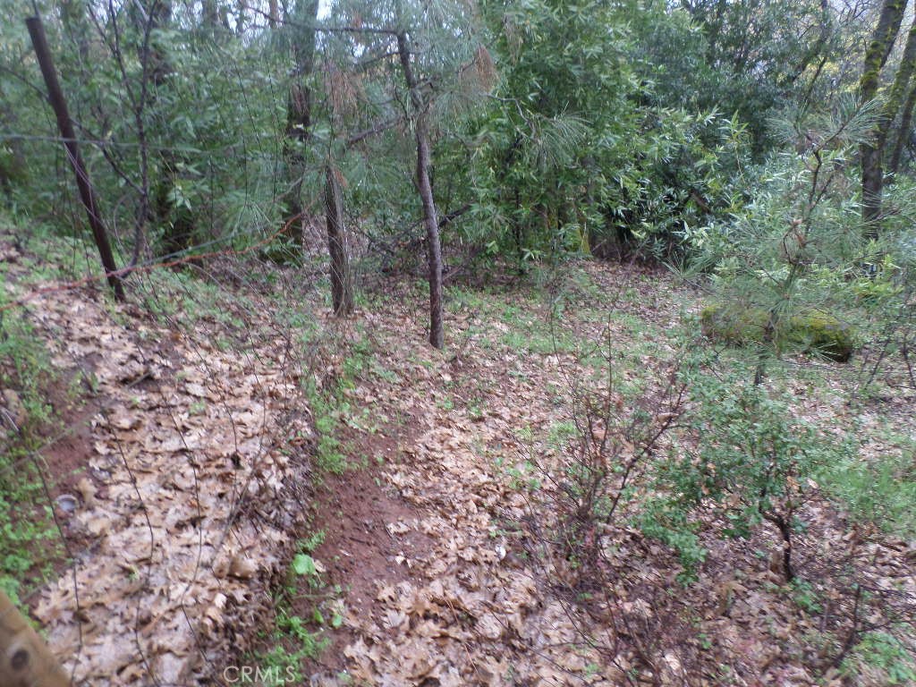 0 Mendocino Way Chico, CA 95973 - Photo 10 of 22