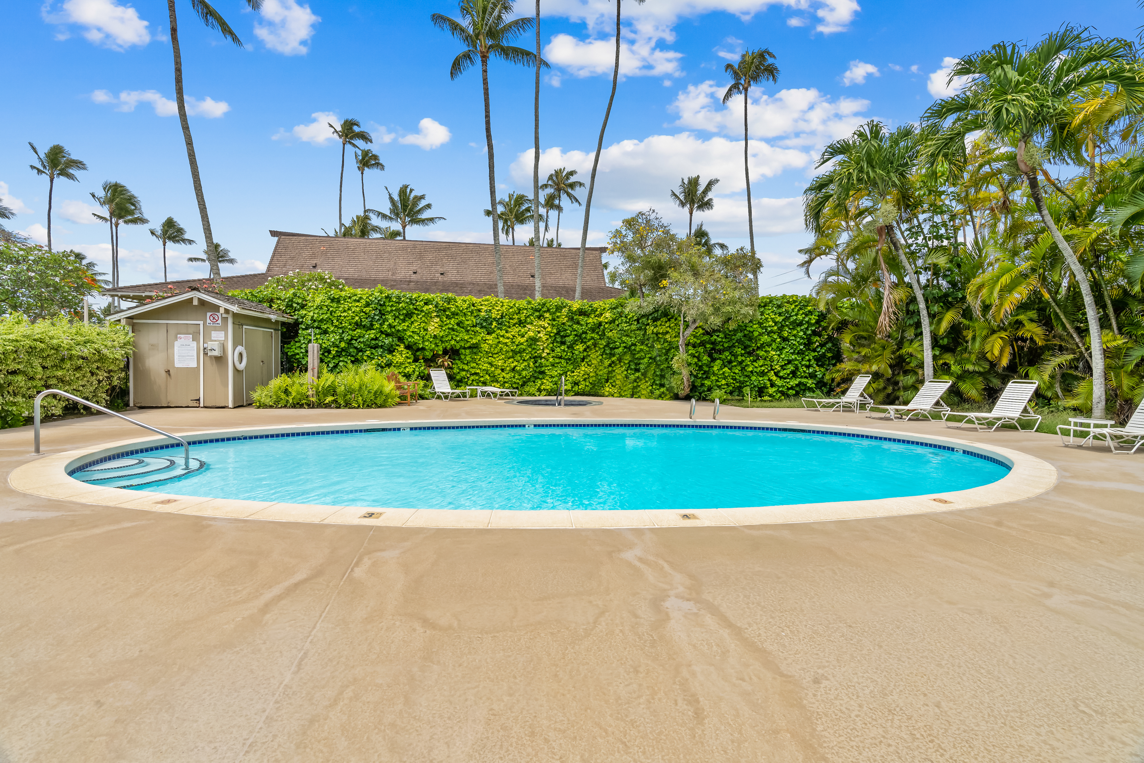 525 Aleka Loop, Unit A3 Kapaa, HI 96746 - Photo 15 of 18 a view of a swimming pool with a yard