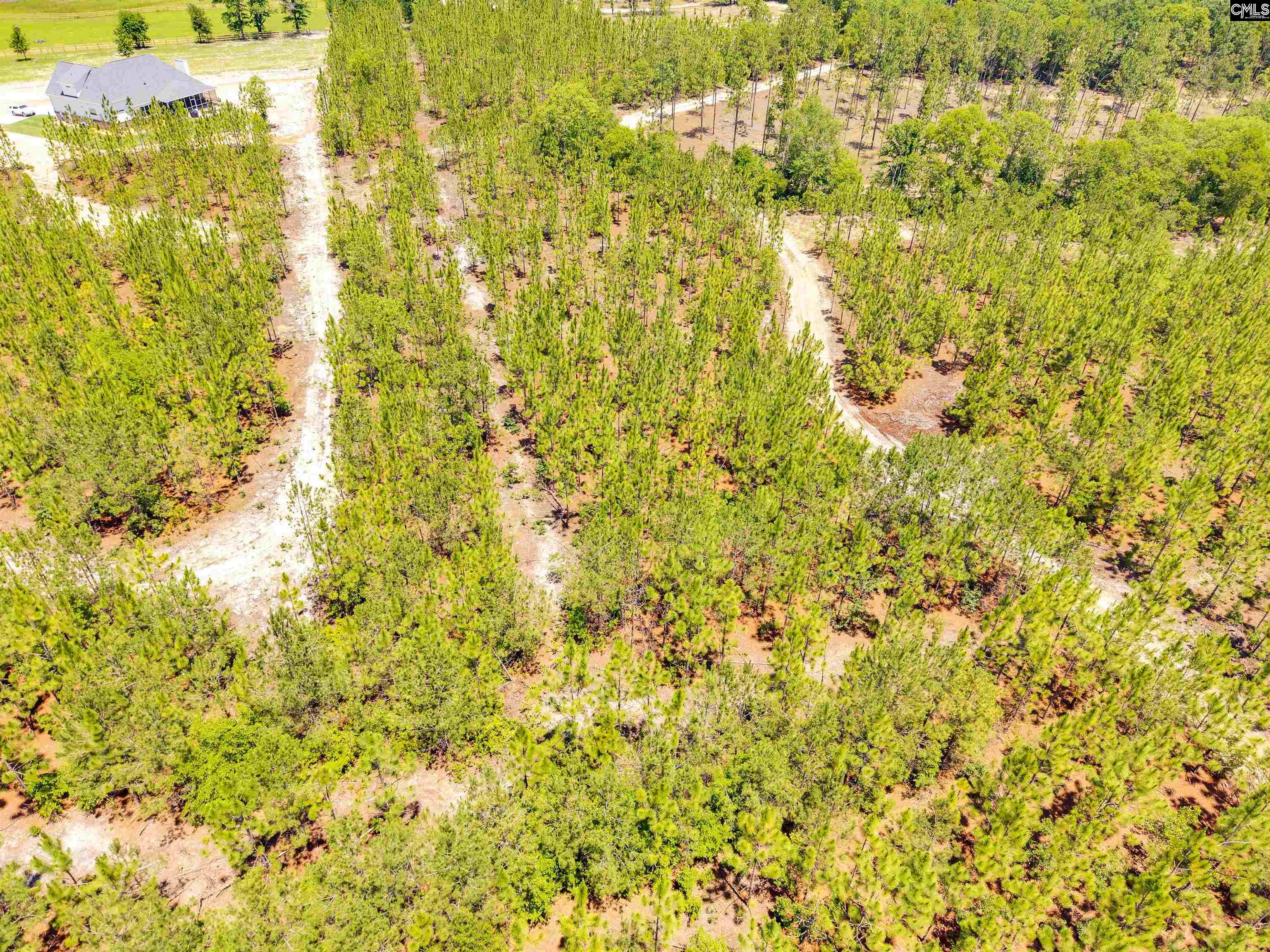 1549 Lawhorn Road Camden, SC 29020 - Photo 17 of 17