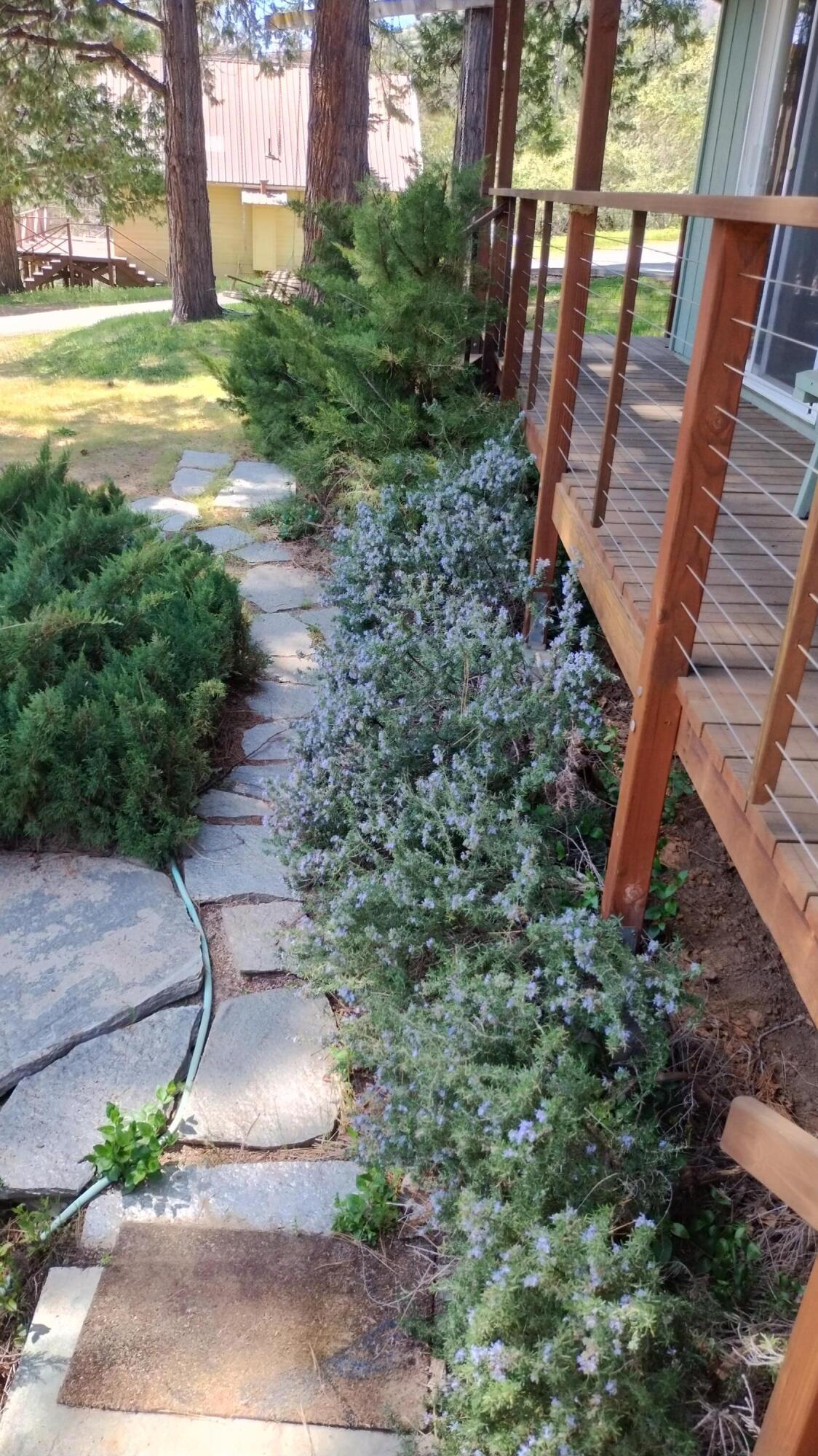339 View Drive Springville, CA 93265 - Photo 97 of 109 98-Looking at flagstone walkway to front