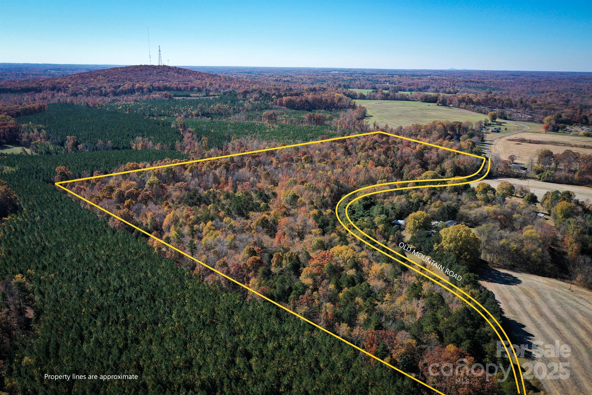 0 Mountain Road Cleveland, NC 27013 - Photo 1 of 39 Gallery Image 1